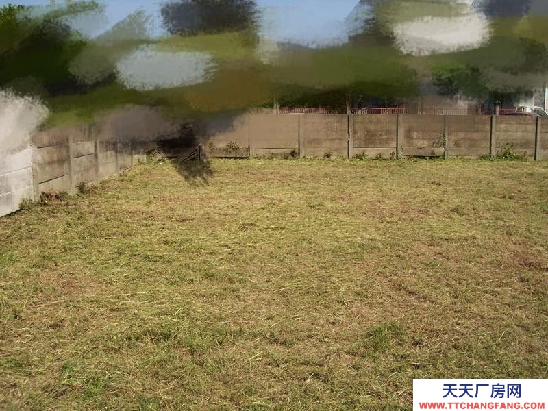 (出租) 現有一大面積的空地出租，可做倉庫