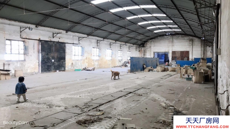 (出租) 廠房倉庫辦公室土地長期出租，整租、合租都可