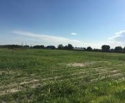 (出租) 松原市乾安縣贊字鄉(xiāng)三競(jìng)村