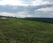 (出租) 松原市乾安縣贊字鄉(xiāng)三競(jìng)村