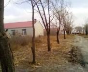 (出售)乾安 廠房64間 土地7萬平 可以用于養(yǎng)殖、加工等