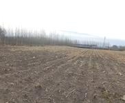 (出租)乾安 院子2萬平，建筑面積500平，可養殖可做糧庫。價格面議