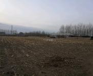 (出租)乾安 院子2萬(wàn)平，建筑面積500平，可養(yǎng)殖可做糧庫(kù)。價(jià)格面議