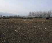 (出租)乾安 院子2萬平，建筑面積500平，可養殖可做糧庫。價格面議