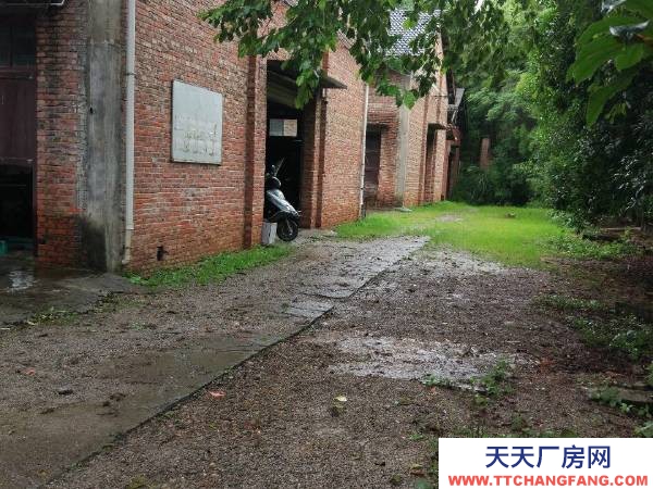 郴州市永興區 低價出租～永興城效廠房（銀都車站附近）