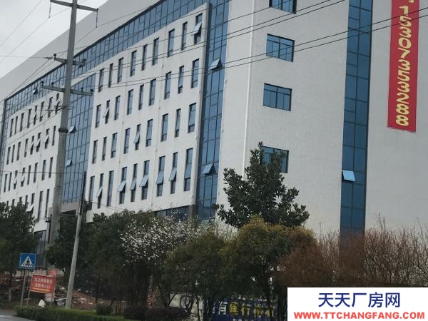 郴州市永興區 形象大氣廠房，位置