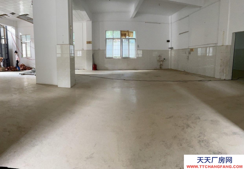 (出租) 湛江用途廣泛，價格實惠，歡迎電話看房。