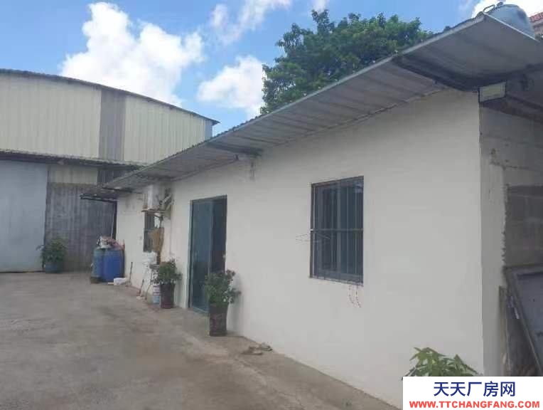 (出租) 湛江赤坎獨院廠房1000平