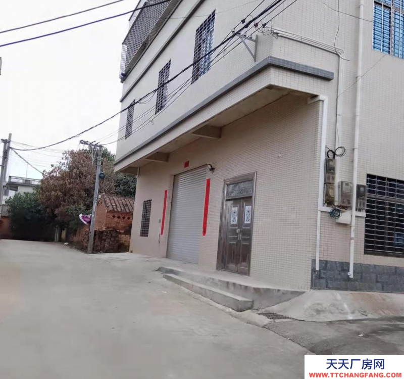 (出租) 全新框架1.2樓、帶電梯倉庫、廠房、出租（電380v）