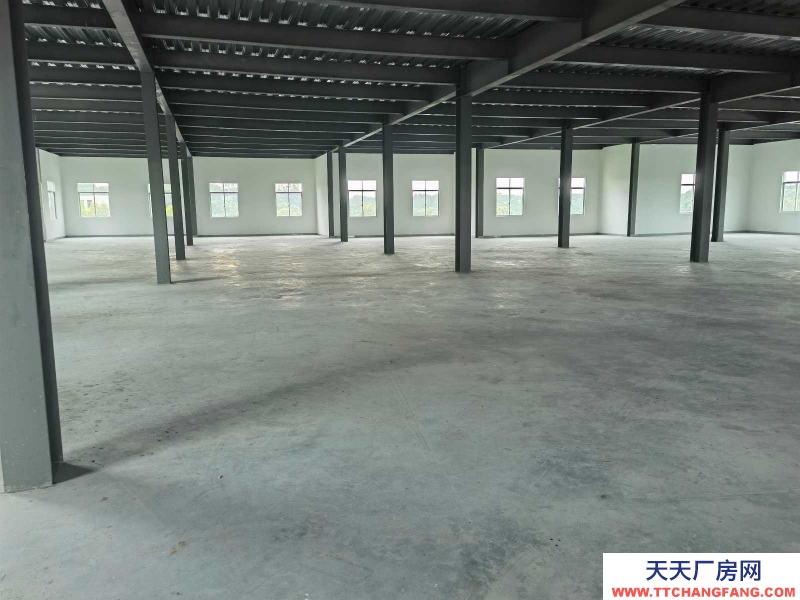 (出租) 坡頭區(qū)官渡鎮(zhèn)全新2700平方廠房出租