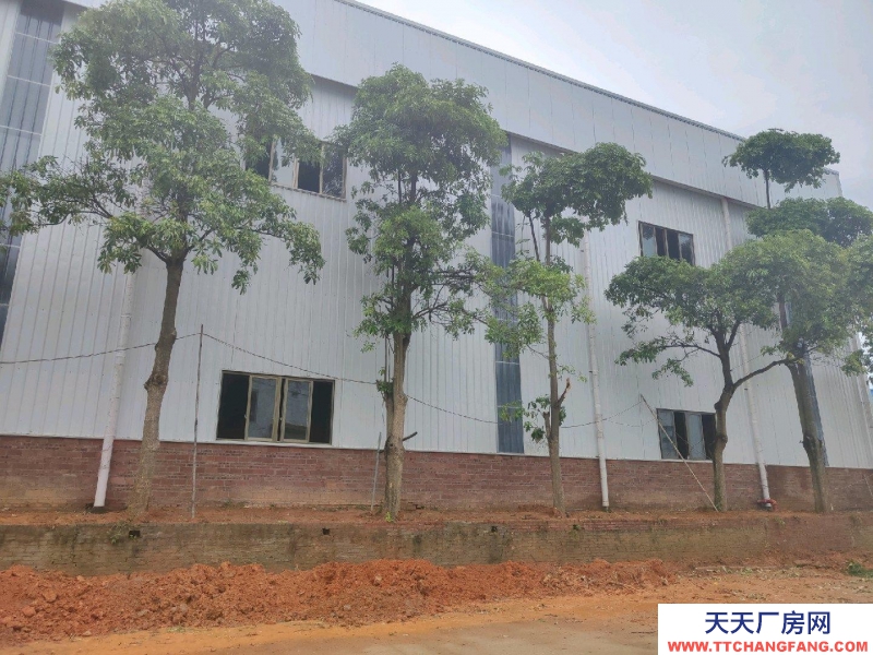 (出租) 坡頭工業(yè)園4000平廠房出租可以分租