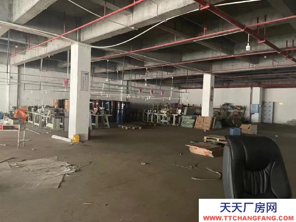 郴州市宜章區 出租宜章君悅物流廠房