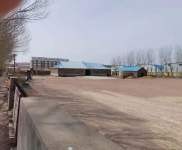 (出售) 白城糧食收購場地15000㎡，適合糧食收購加工。