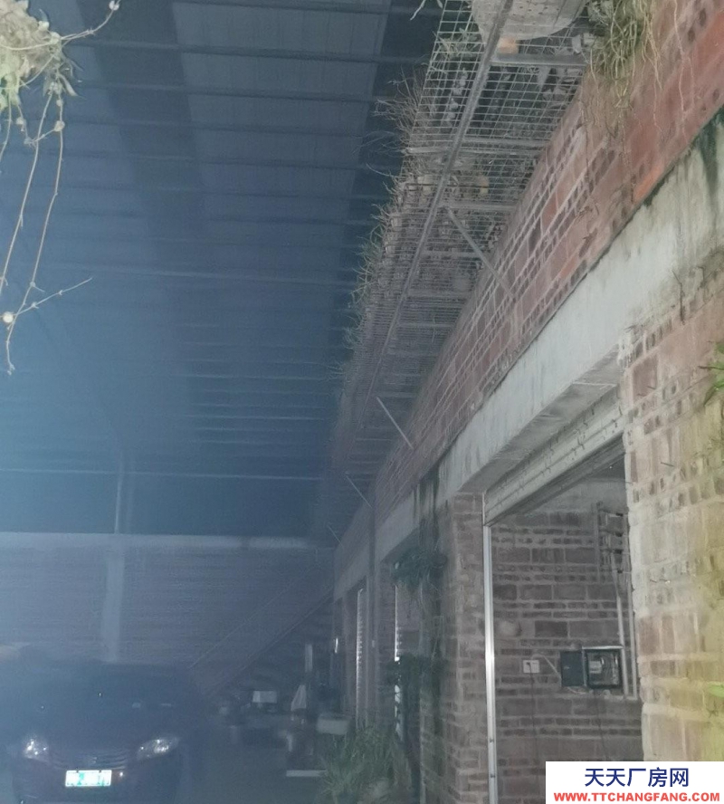 (出租) 湛江私人財產，沒有產權糾紛。