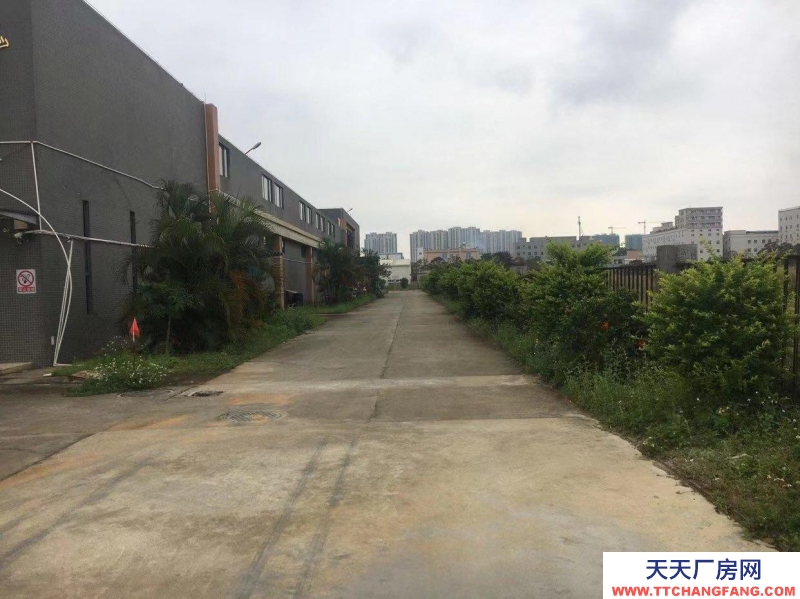 (出租) 麻章赤坎霞山2萬方倉庫廠房出租