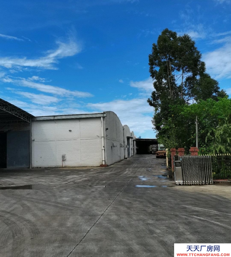 (出租) 在疏港大道旁，離湛江高鐵西站3公里，380V電源。