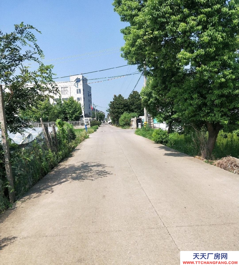 (出租) 空閑廠房，有住房衛生間，可以直接入駐！