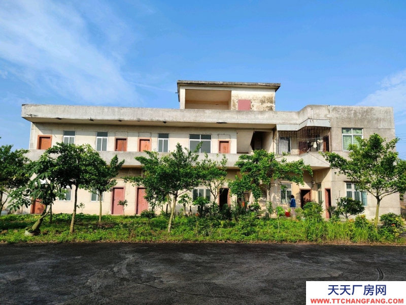 (出租) 2500多方可辦公生產(chǎn)商業(yè)等