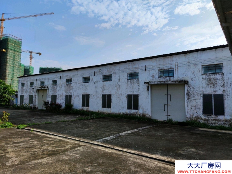 (出租) 2500多方可辦公生產商業(yè)等