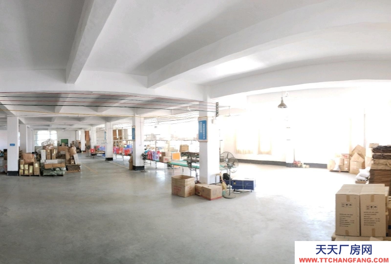 (出租) 湛江標(biāo)準(zhǔn)工業(yè)廠房工業(yè)園內(nèi)