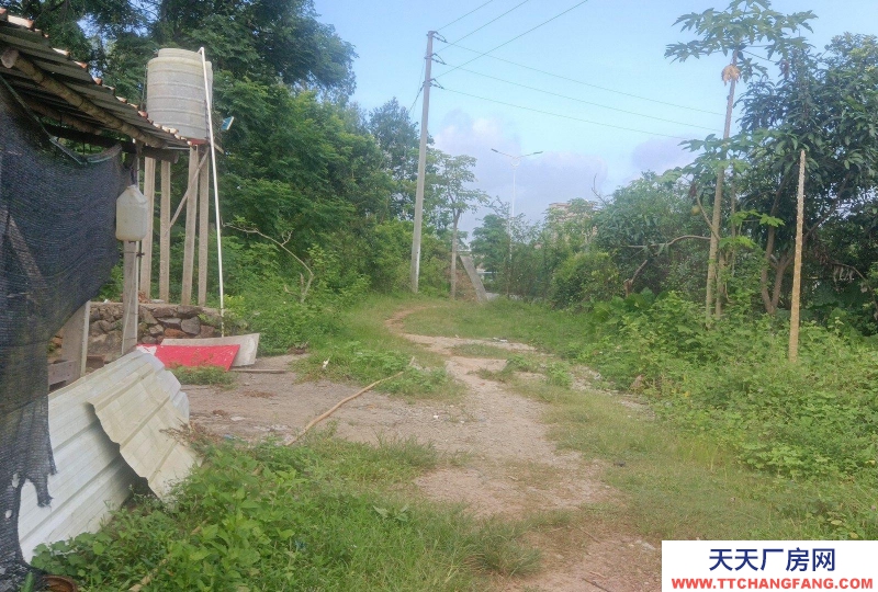 (出租) 就近有玉湛高速龍塘入口,,省道287路邊,肥佬貴果園飯店對面