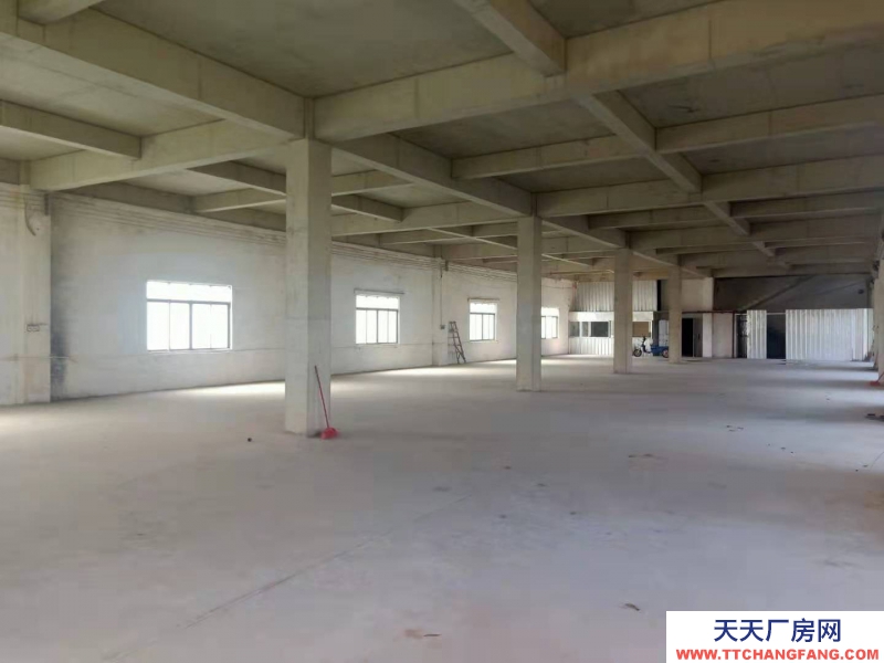 (出租) 湛江城南街道 廠房 800平米