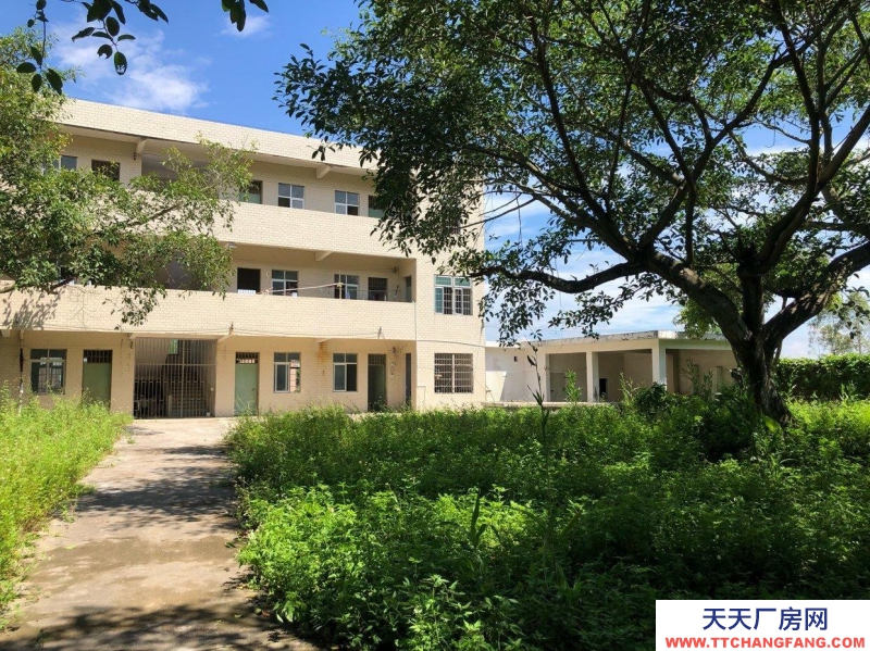 (出租) 湛江廠房、倉庫、辦法樓、宿舍招租