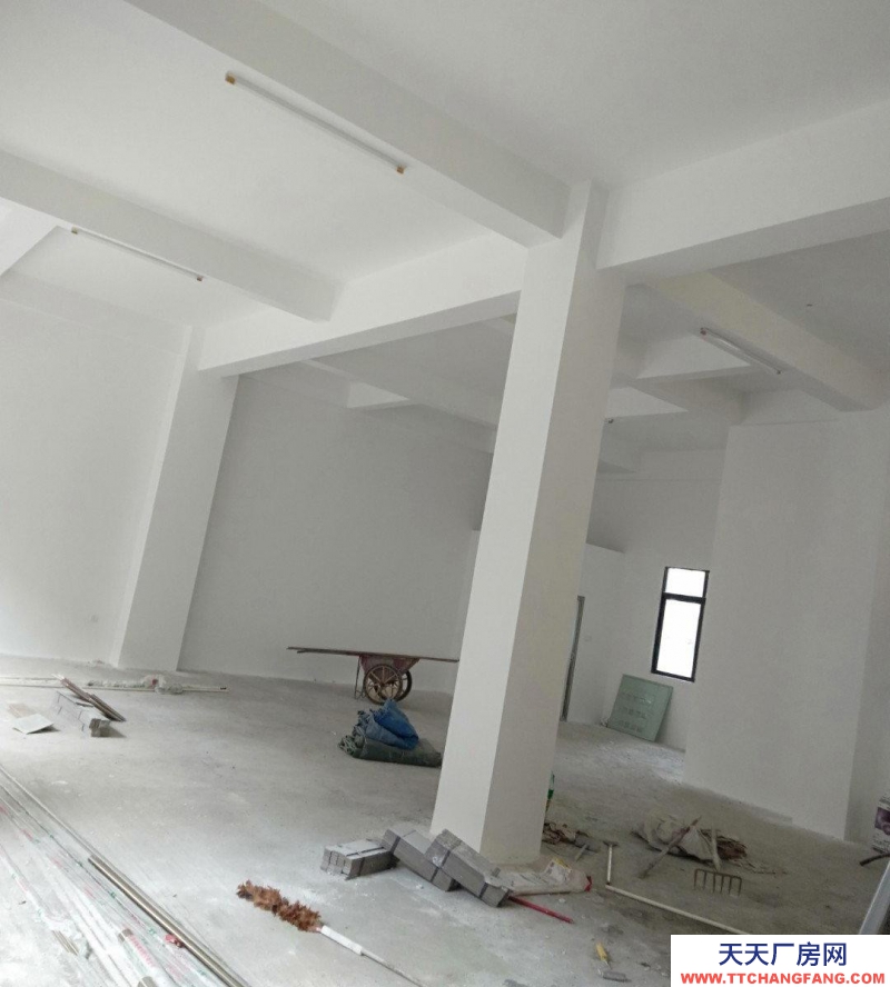 (出租) 湛江赤坎辦公室倉庫一層4.8米二層3.3米高