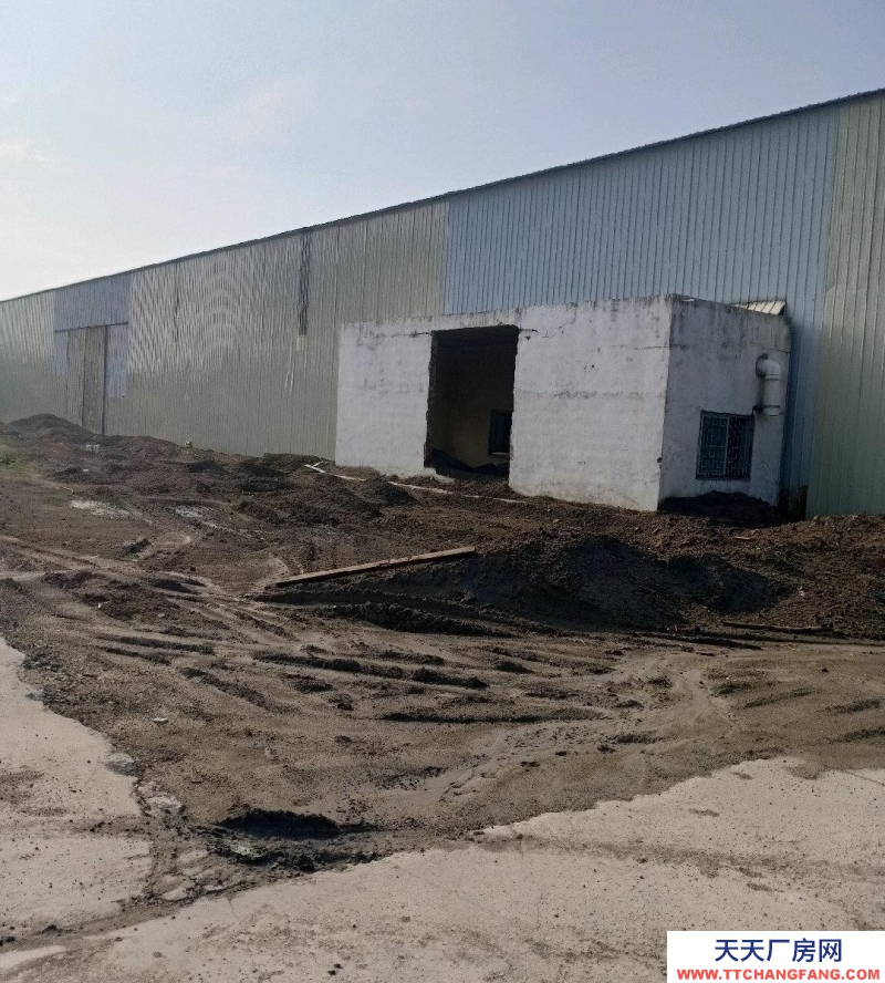 (出租) 湛江赤坎鐵皮倉(cāng)庫(kù)，可做廠房，交通方便，大路旁邊