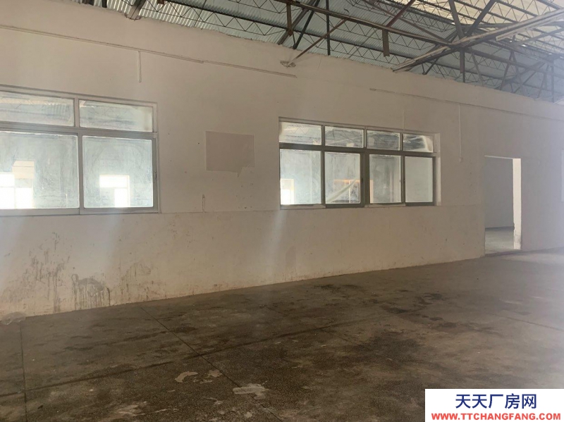 (出租) 赤坎康寧路可做辦公室環境優美交通便利