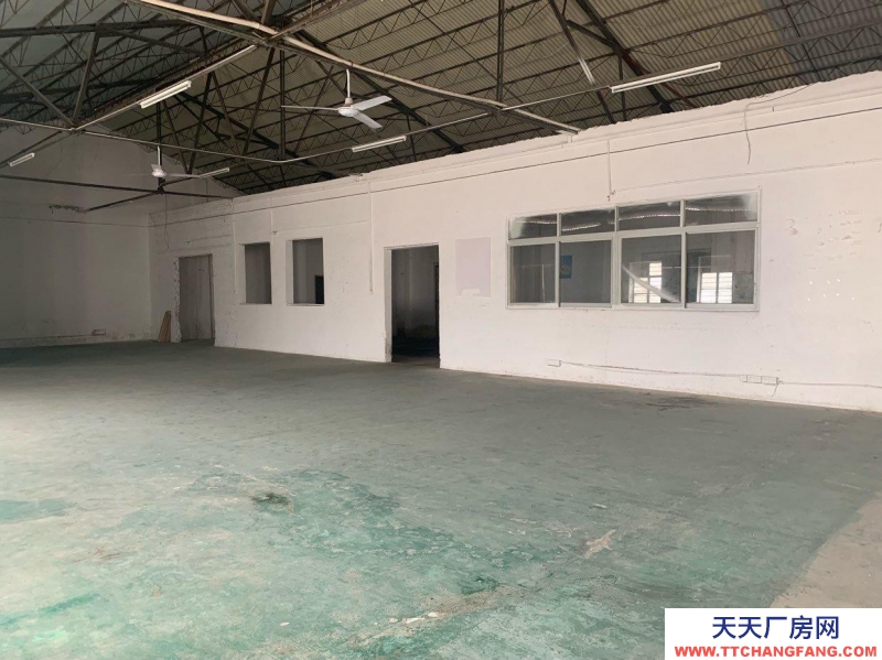 (出租) 赤坎康寧路可做辦公室環境優美交通便利