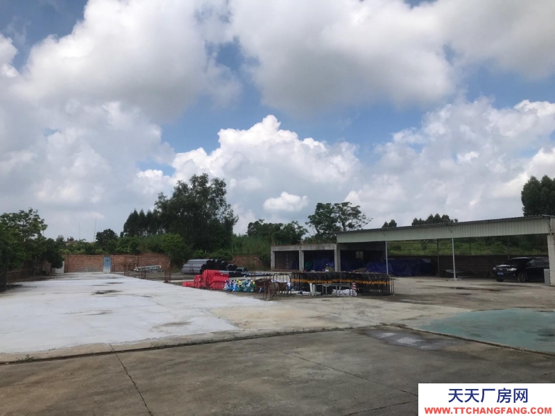 (出租) 赤坎調(diào)順大型獨(dú)門獨(dú)院倉庫廠房