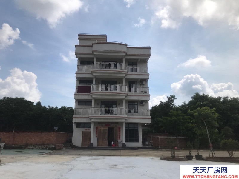 (出租) 赤坎調(diào)順大型獨(dú)門獨(dú)院倉庫廠房