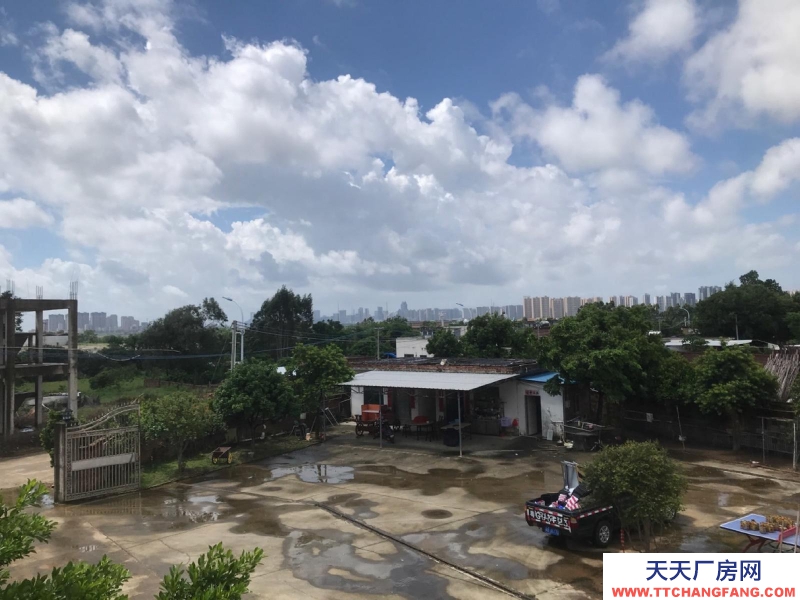 (出租) 赤坎調(diào)順大型獨(dú)門獨(dú)院倉庫廠房