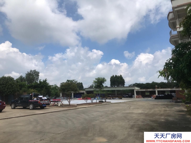 (出租) 赤坎調(diào)順大型獨(dú)門獨(dú)院倉庫廠房