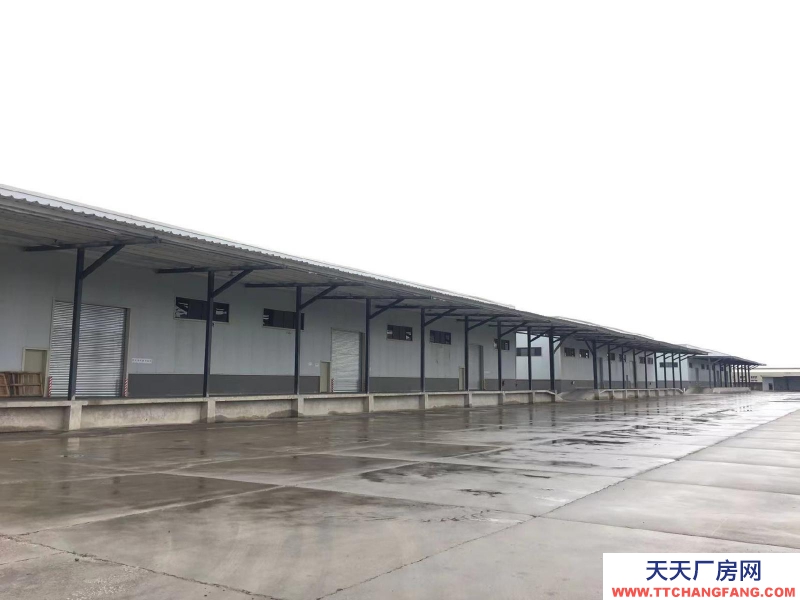 (出租) 赤坎霞山麻章2萬方高臺倉庫出租