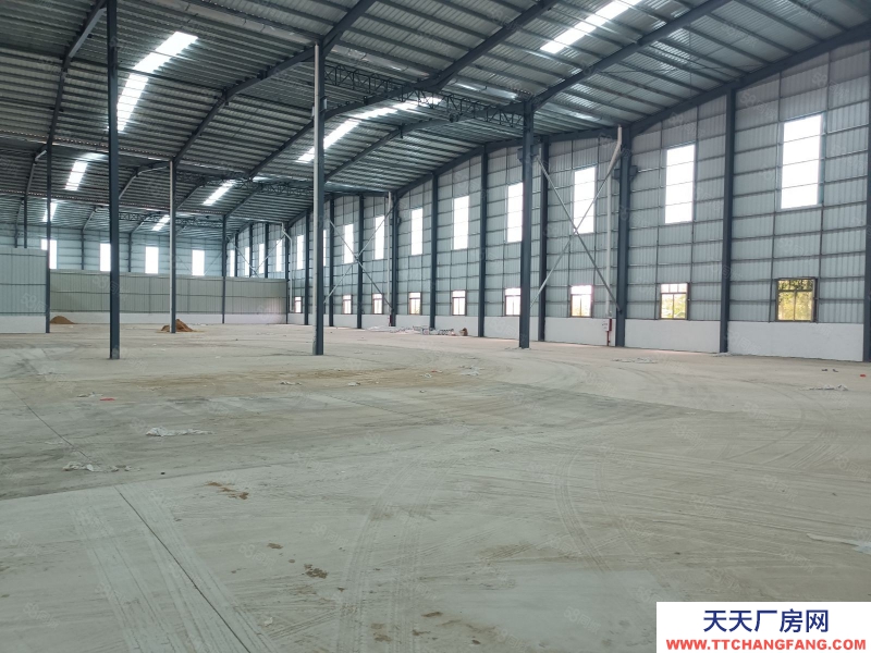 (出租) 湛江大道湖光路集裝箱碼頭寶滿10000平倉庫出租