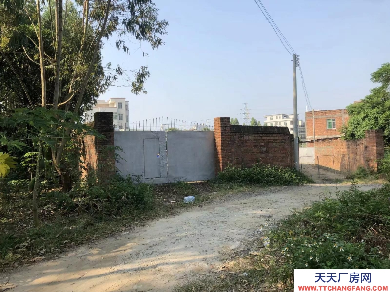 (出租) 該地靠近,五星建材(300米遠)—椹川實驗學校—椹川大道