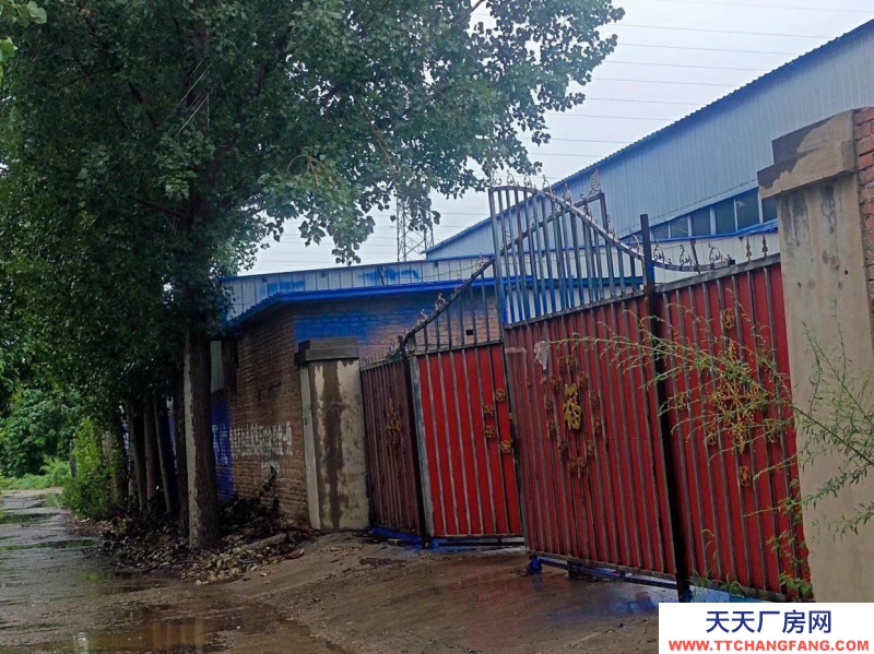 邢臺市 邢臺縣 (出租) 特價出租臨街好廠房倉庫