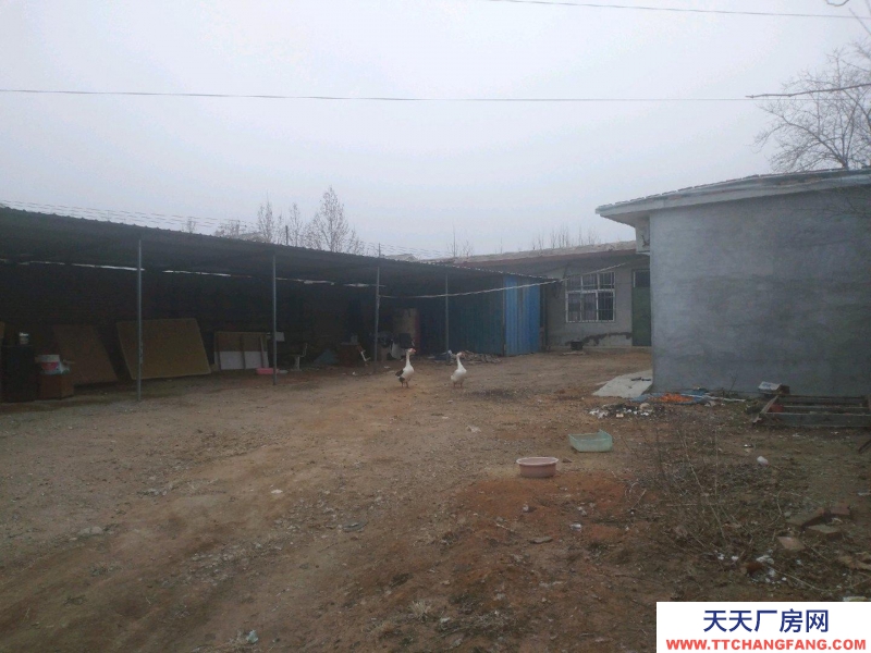 邢臺市 邢臺縣 (出租) 獨院600平房可主人做倉庫