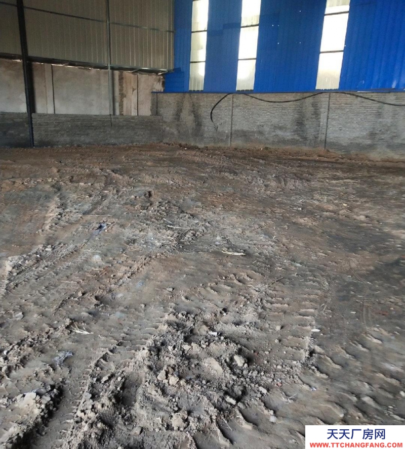 邢臺市 邢臺縣 (出租) 出租旭陽經濟開發區倉庫廠房