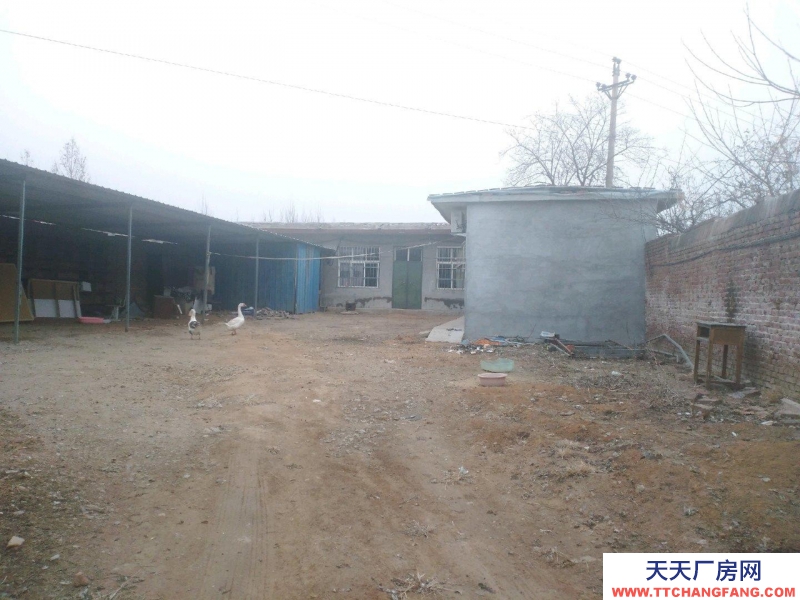 邢臺市 邢臺縣 (出租) 600平院子平房可做倉庫人