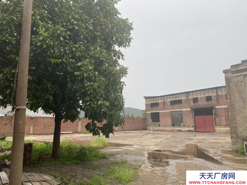 (邢臺市  柏鄉 出租) 小型廠房 臨馬路交通方便