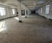 (出租) 延吉可做加工廠，汽車維修，辦公室，倉庫