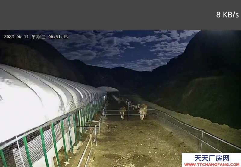 (出租) 占地兩百畝，養殖場，可直接養牛羊，可放養