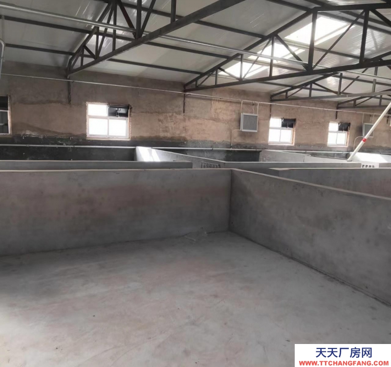 (出租) 豬舍出租，有意向的朋友可聯系