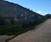 (出售) 急售農(nóng)村房屋和養(yǎng)豬場，位于朝陽川三峰5隊，共1000平米多