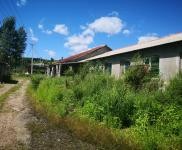 (出售) 急售農村房屋和養豬場，位于朝陽川三峰5隊，共1000平米多