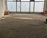 (出租) 可短租獨棟一樓倉庫帶冷庫帶門斗