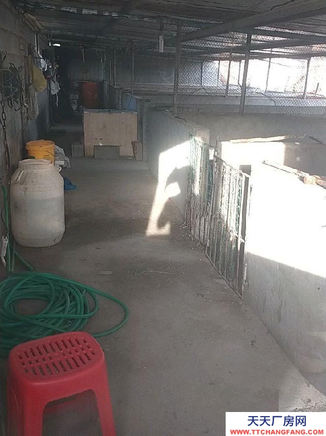 (出租) 5畝大院子水三項(xiàng)電，豬圈辦公室菜園空地三畝，二百平米庫(kù)房